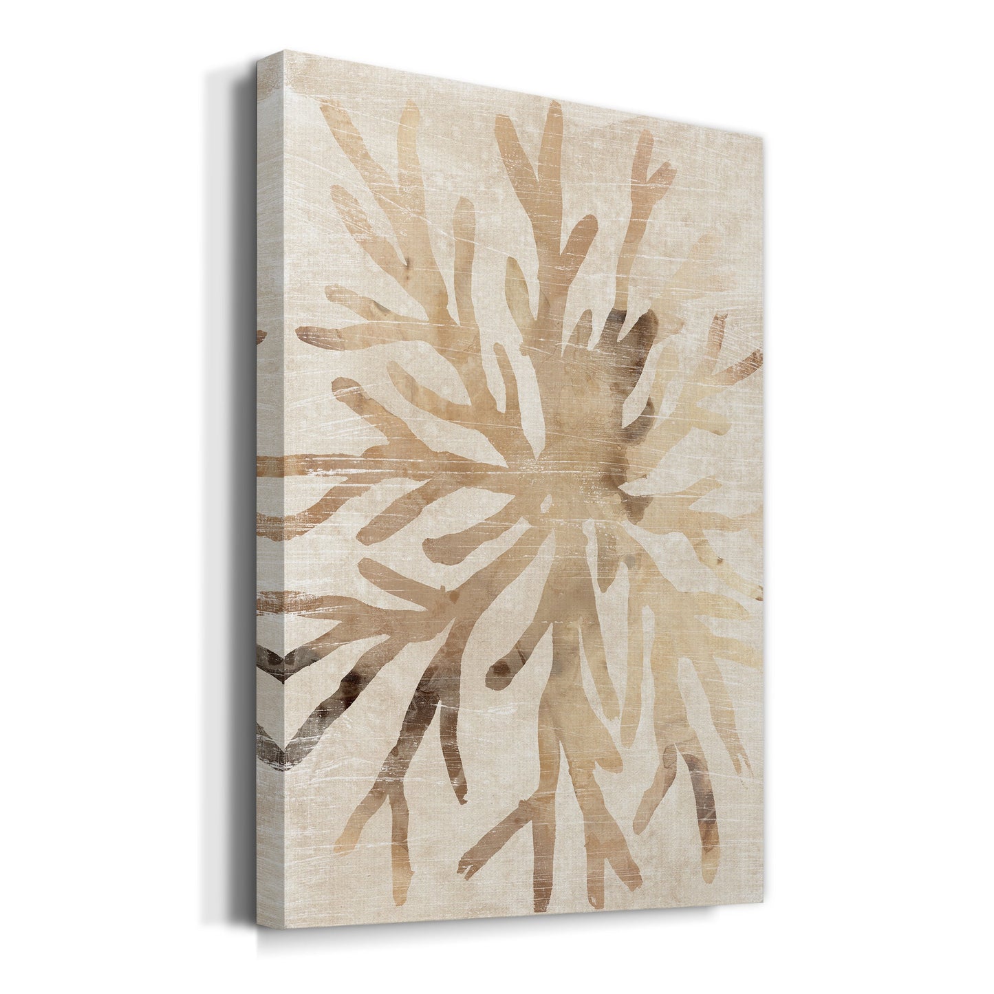 Parchment Coral II Premium Gallery Wrapped Canvas - Ready to Hang