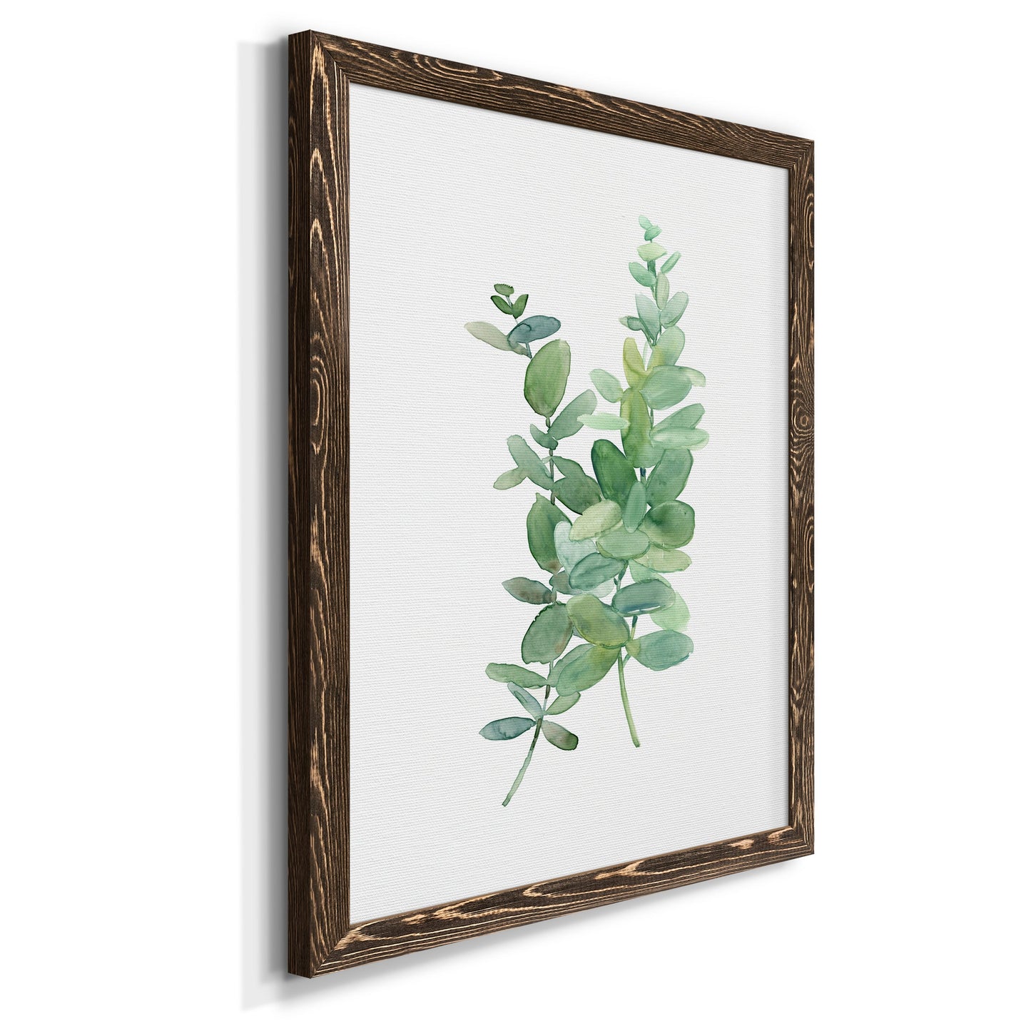 Eucalyptus I - Premium Canvas Framed in Barnwood - Ready to Hang