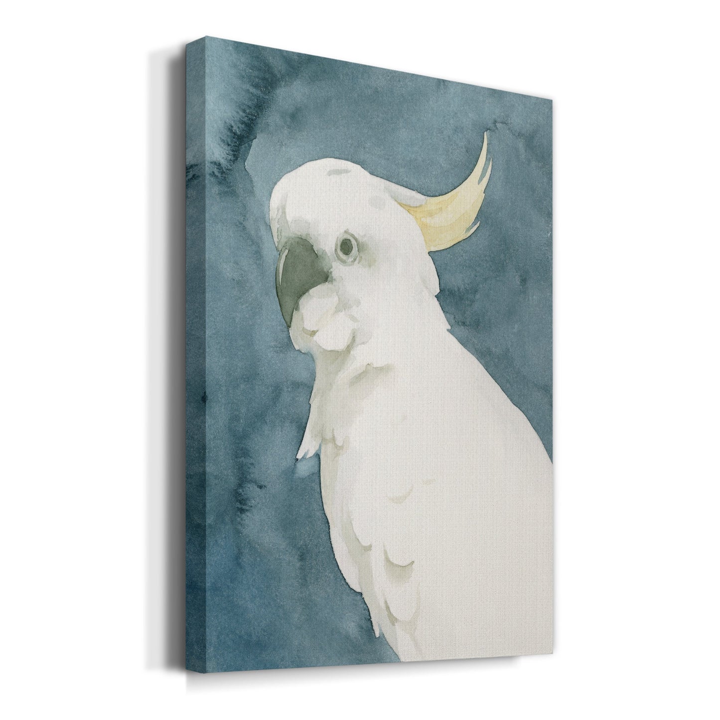 Cockatoo Portrait II Premium Gallery Wrapped Canvas - Ready to Hang