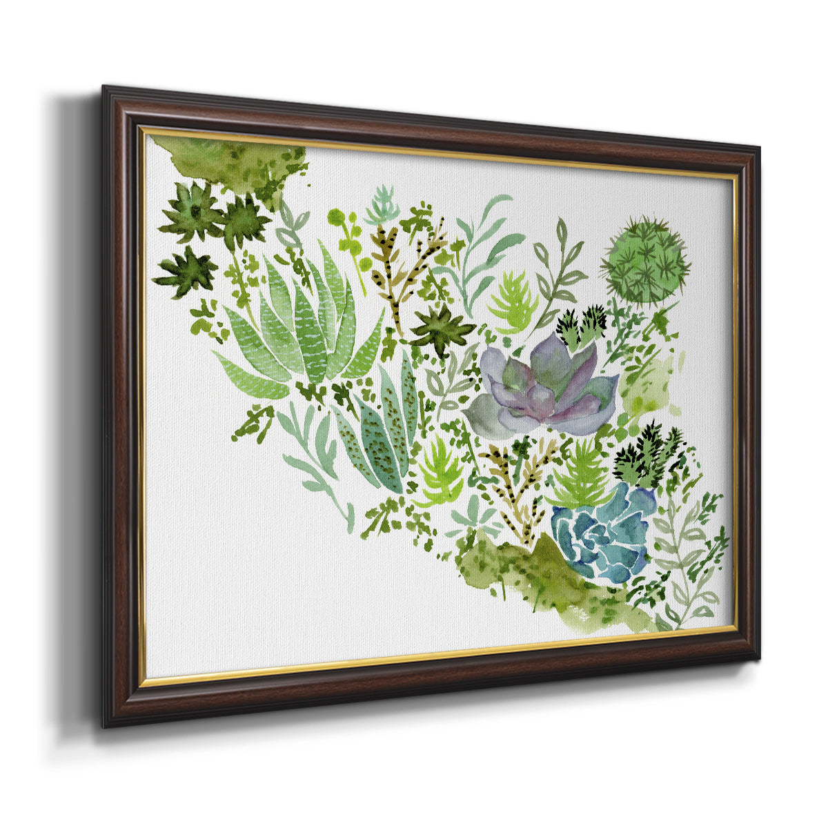 Succulent Field II - Ornate Framed Canvas Print