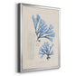 Blue Marine Algae V - Modern Framed Canvas Print