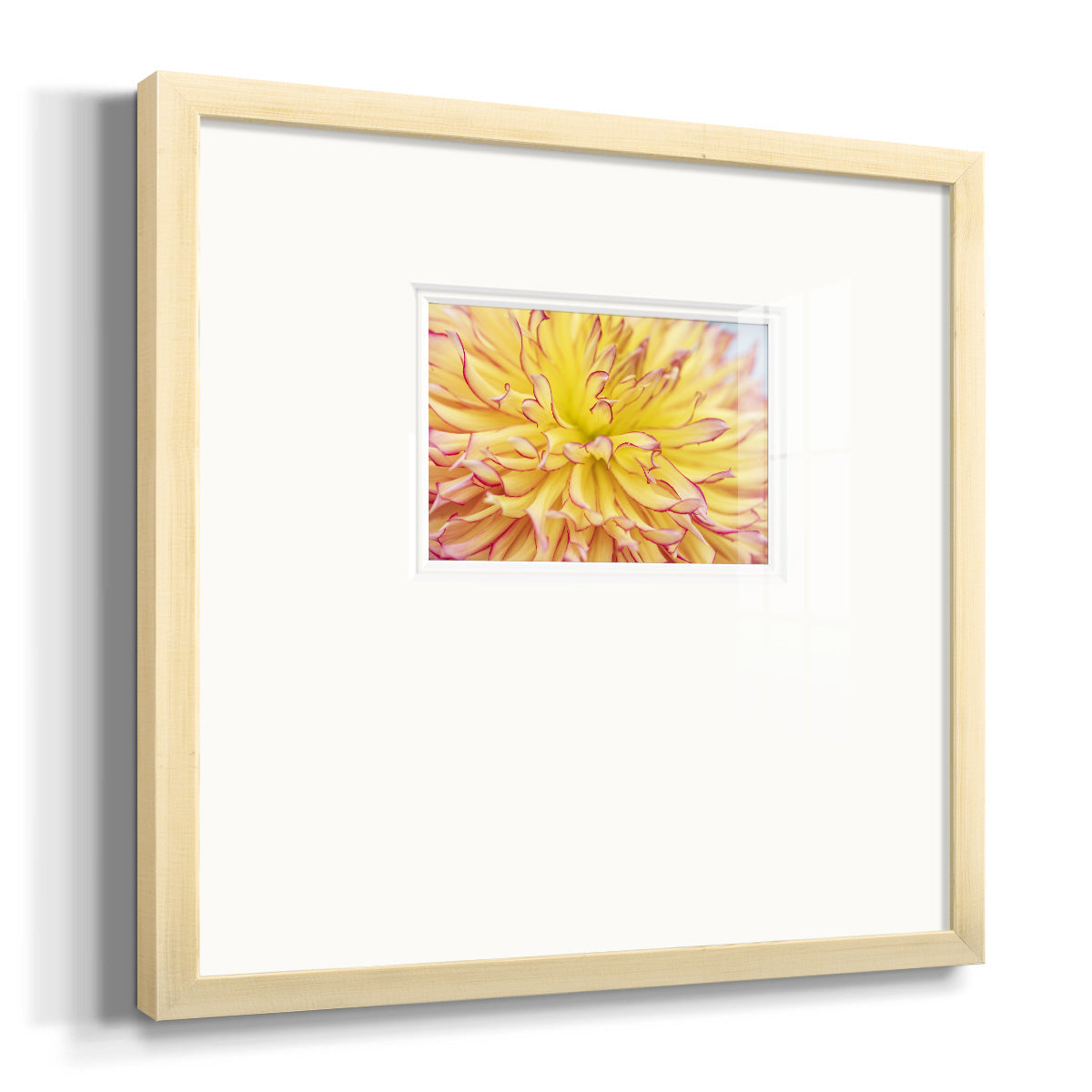 Blooms III Premium Framed Print Double Matboard