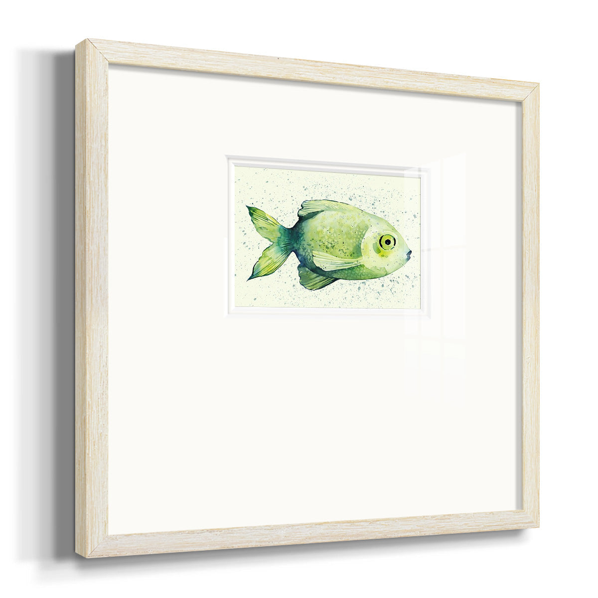 Speckled Freshwater Fish II Premium Framed Print Double Matboard