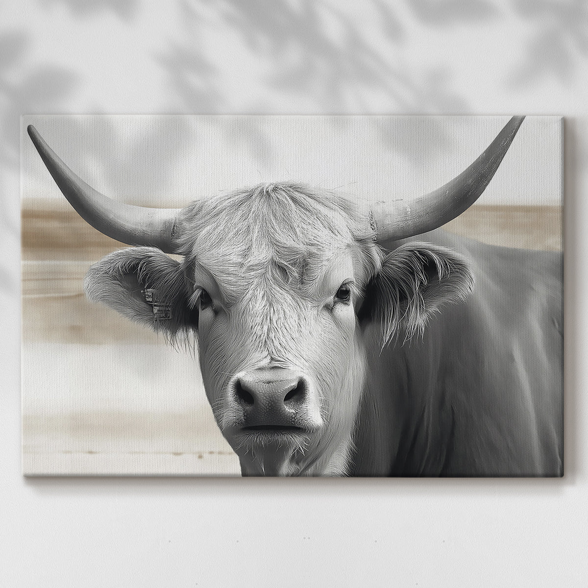 Steer XCI - Canvas Art Print