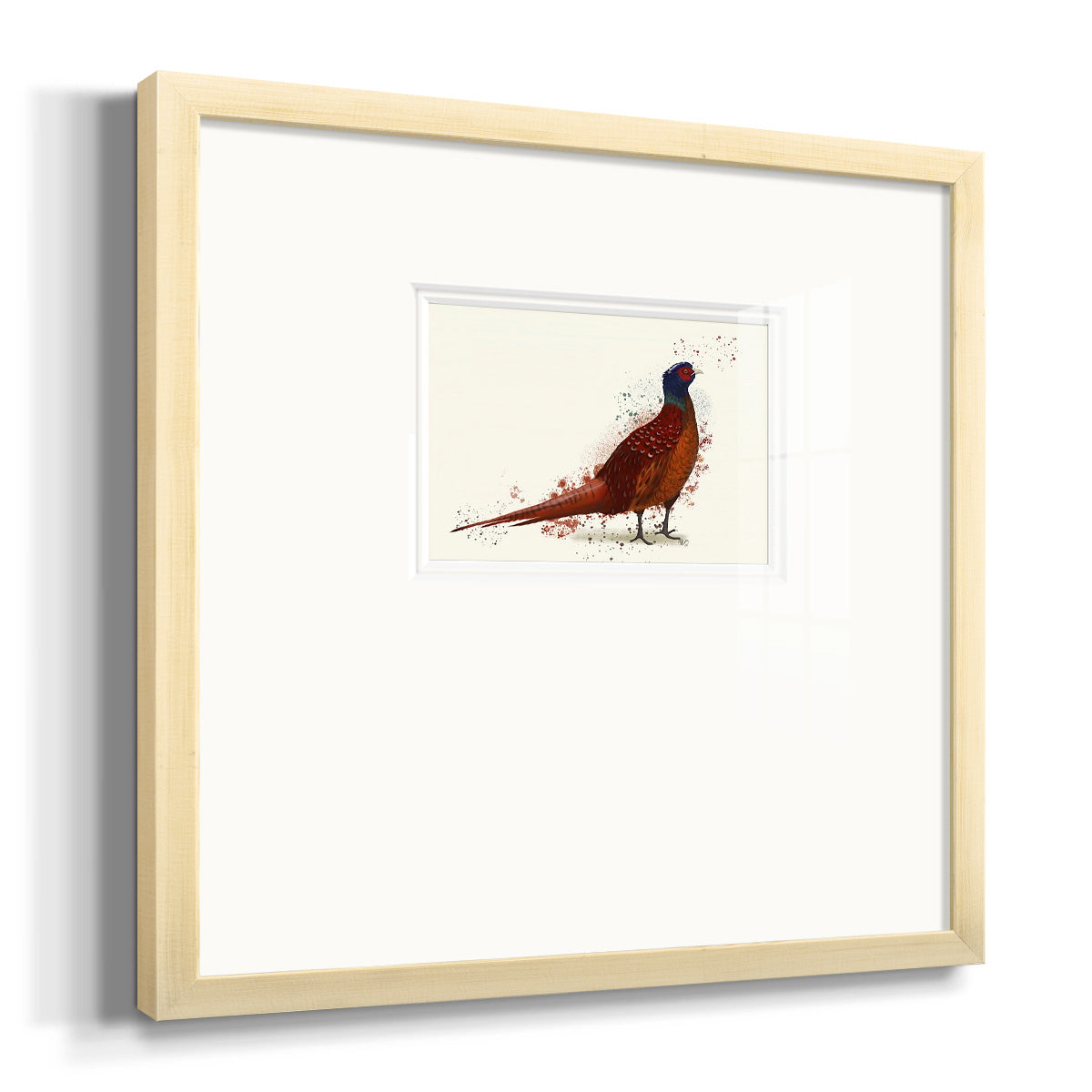 Pheasant Splash 4 Premium Framed Print Double Matboard