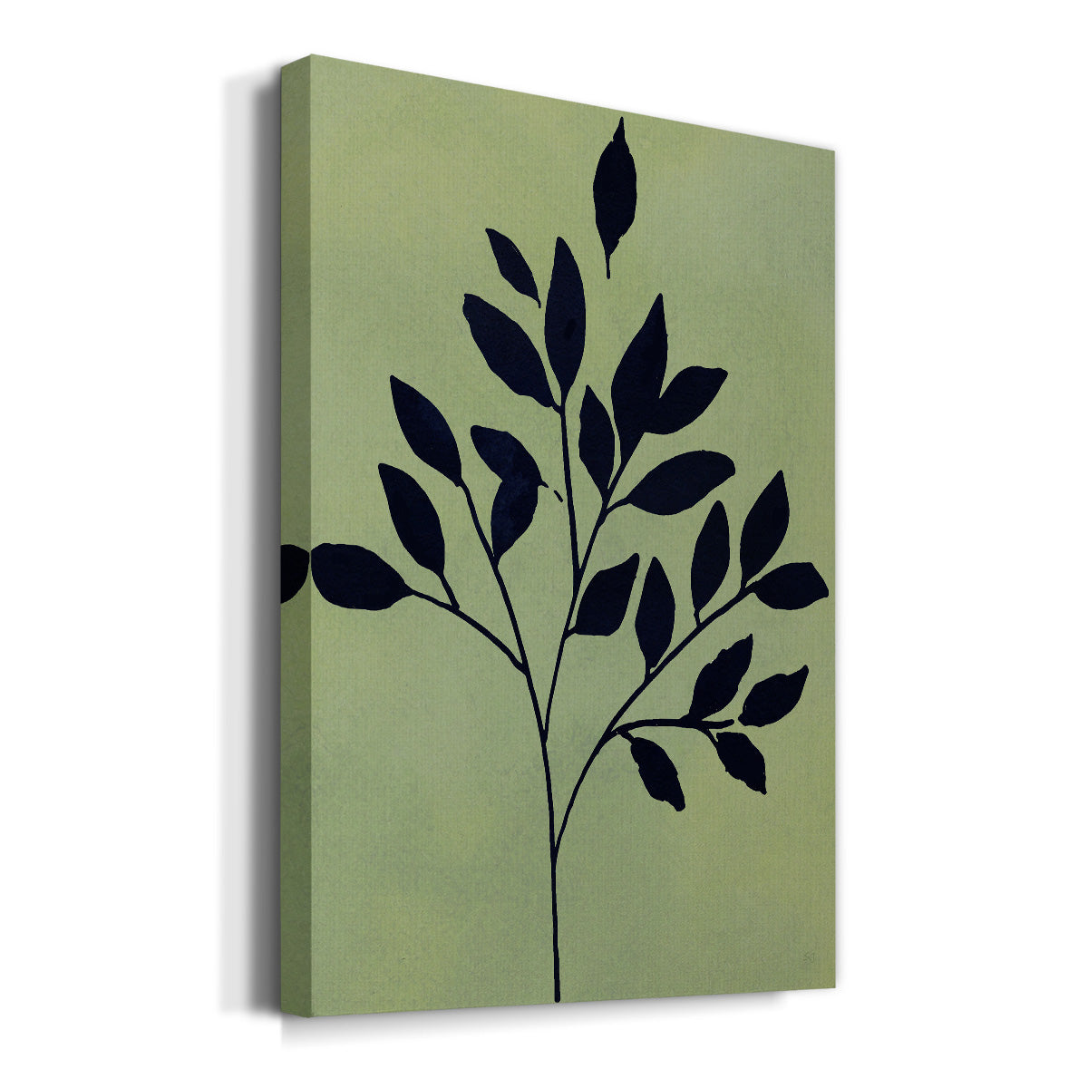 Earthly Botanical I - Canvas Art Print