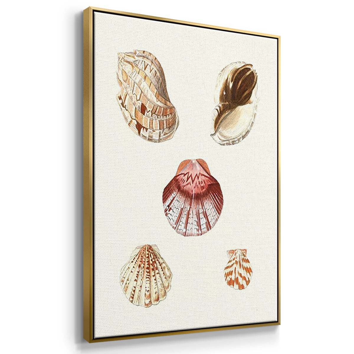 Pastel Knorr Shells I - Framed Premium Gallery Wrapped Canvas L Frame 3 Piece Set - Ready to Hang