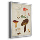 Mushroom Species XI - Modern Framed Canvas Print