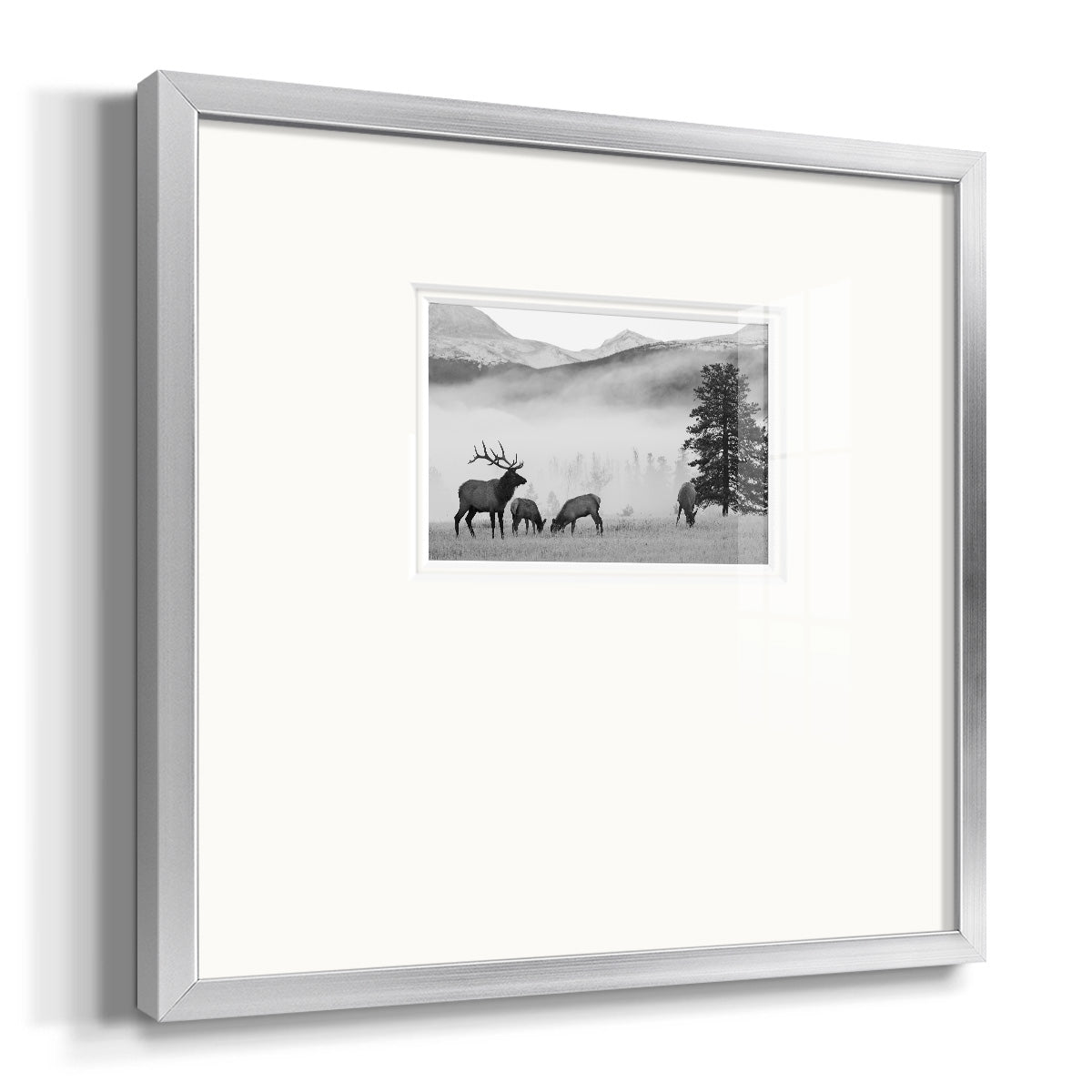 Mountain Elk Premium Framed Print Double Matboard