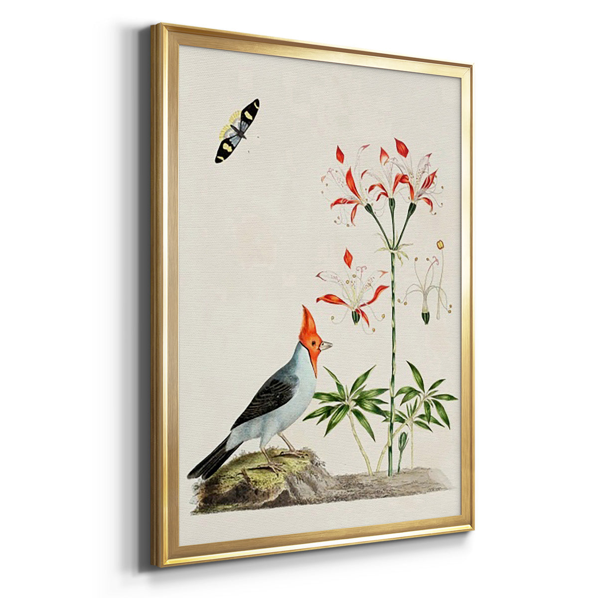 Bird in Habitat I - Modern Framed Canvas Print