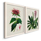 Antique Floral Folio I - Premium Framed Canvas 2 Piece Set - Ready to Hang