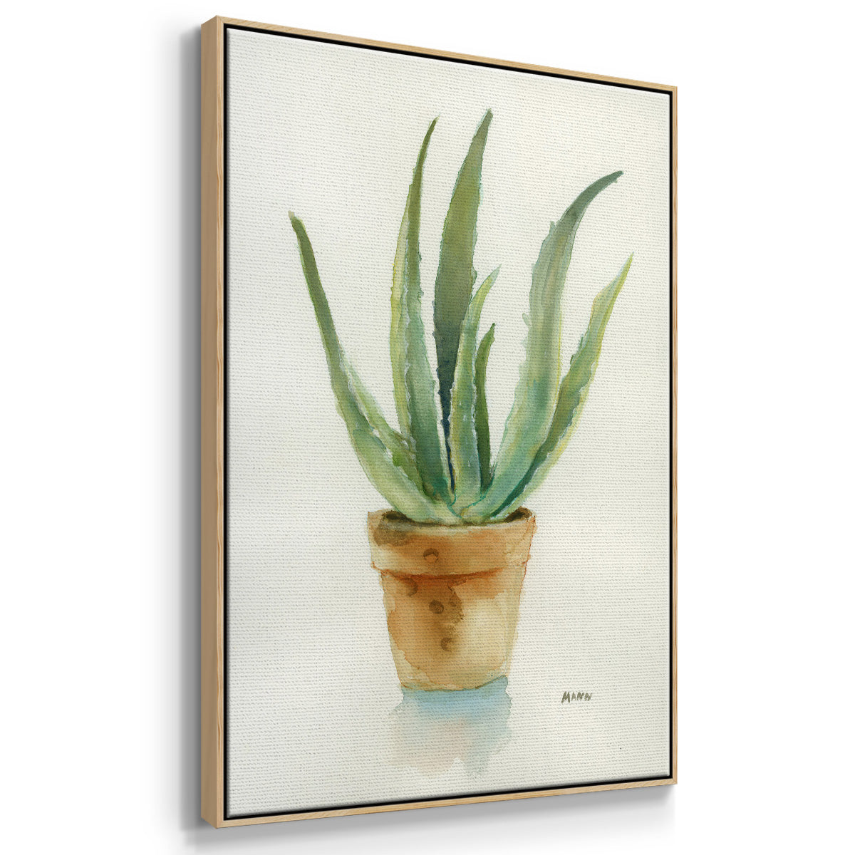 Succulent IV - Framed Premium Gallery Wrapped Canvas L Frame - Ready to Hang