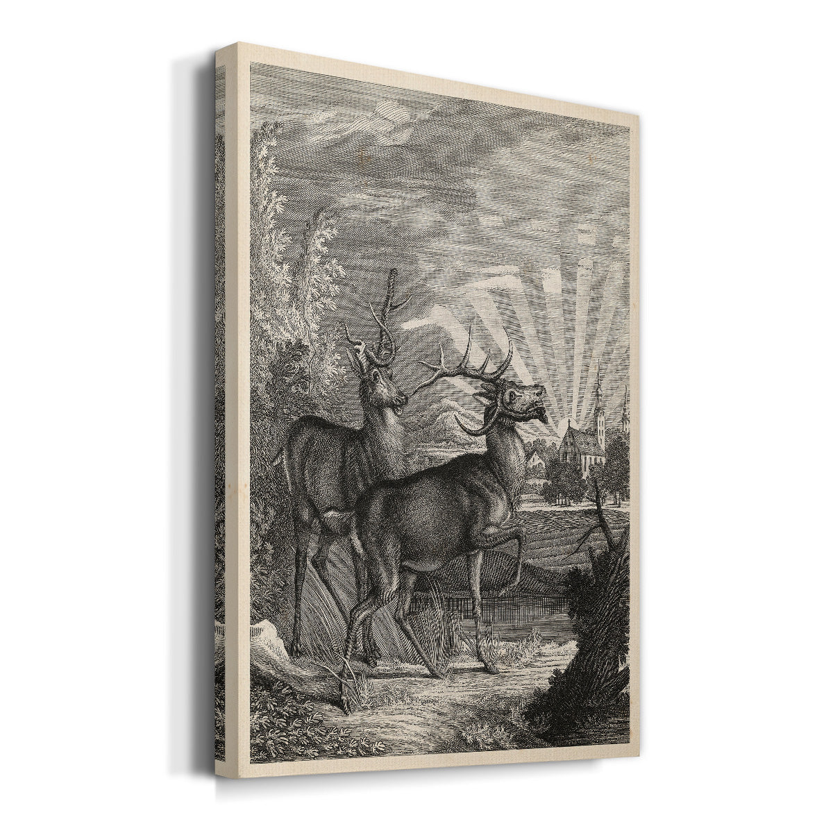 Woodland Deer V Premium Gallery Wrapped Canvas - Ready to Hang