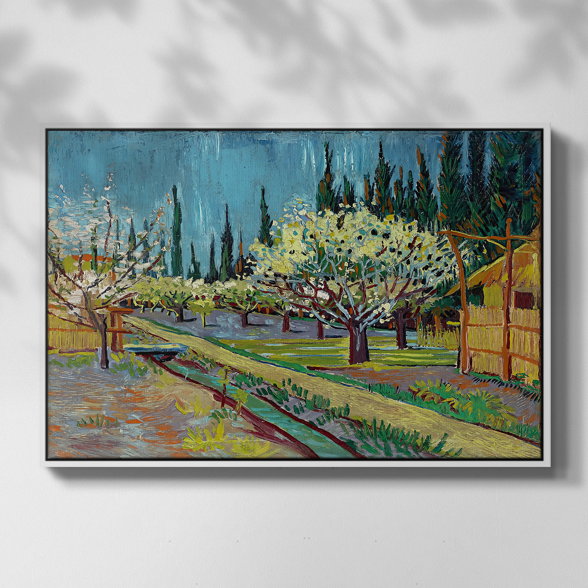 Orchard in Blossom, Bordered by Cypresses, 1888 - Floater Framed Canvas Print