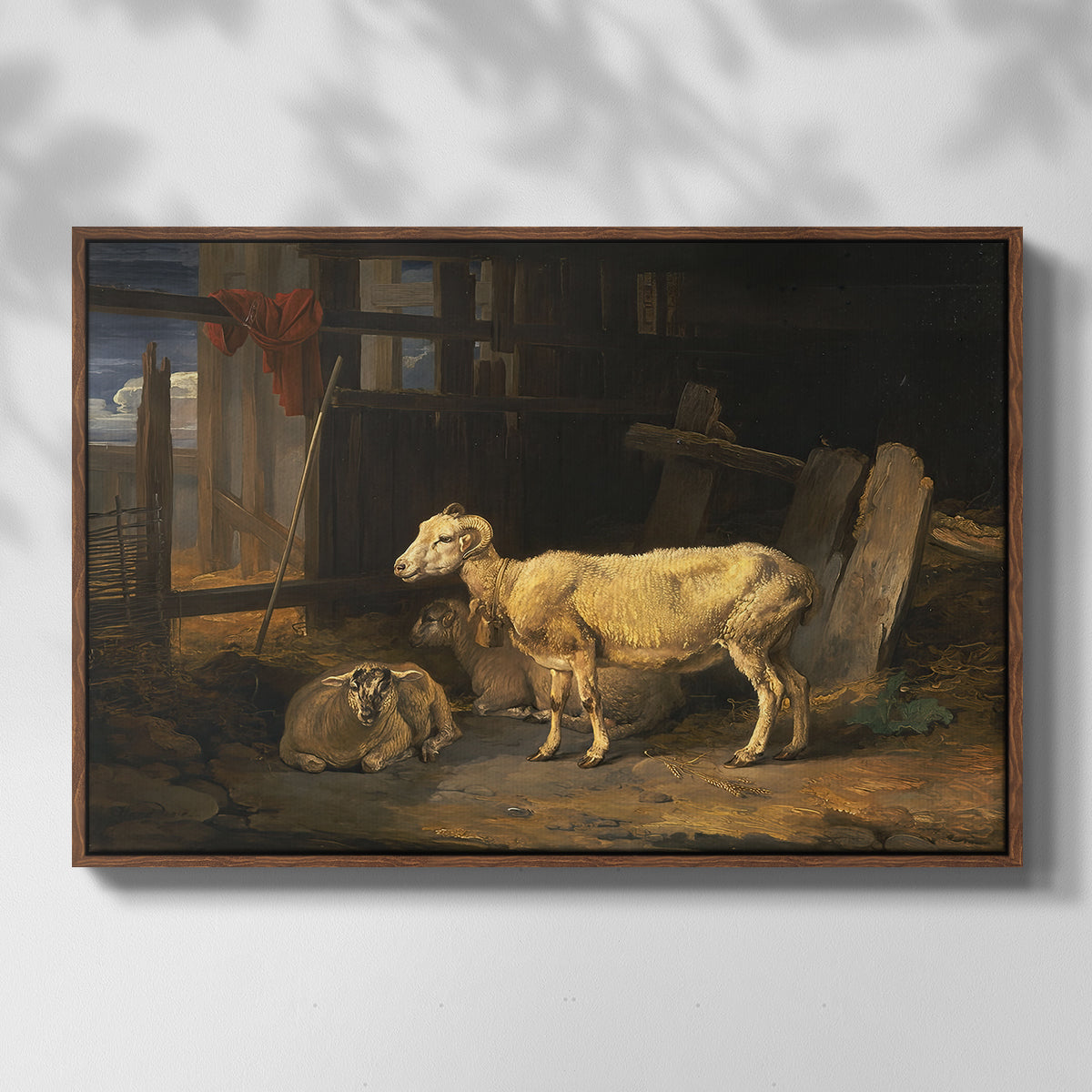 Sheep in a Stable, 1810 - Floater Framed Canvas Print