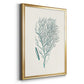 Antique Coastal Coral I - Modern Framed Canvas Print