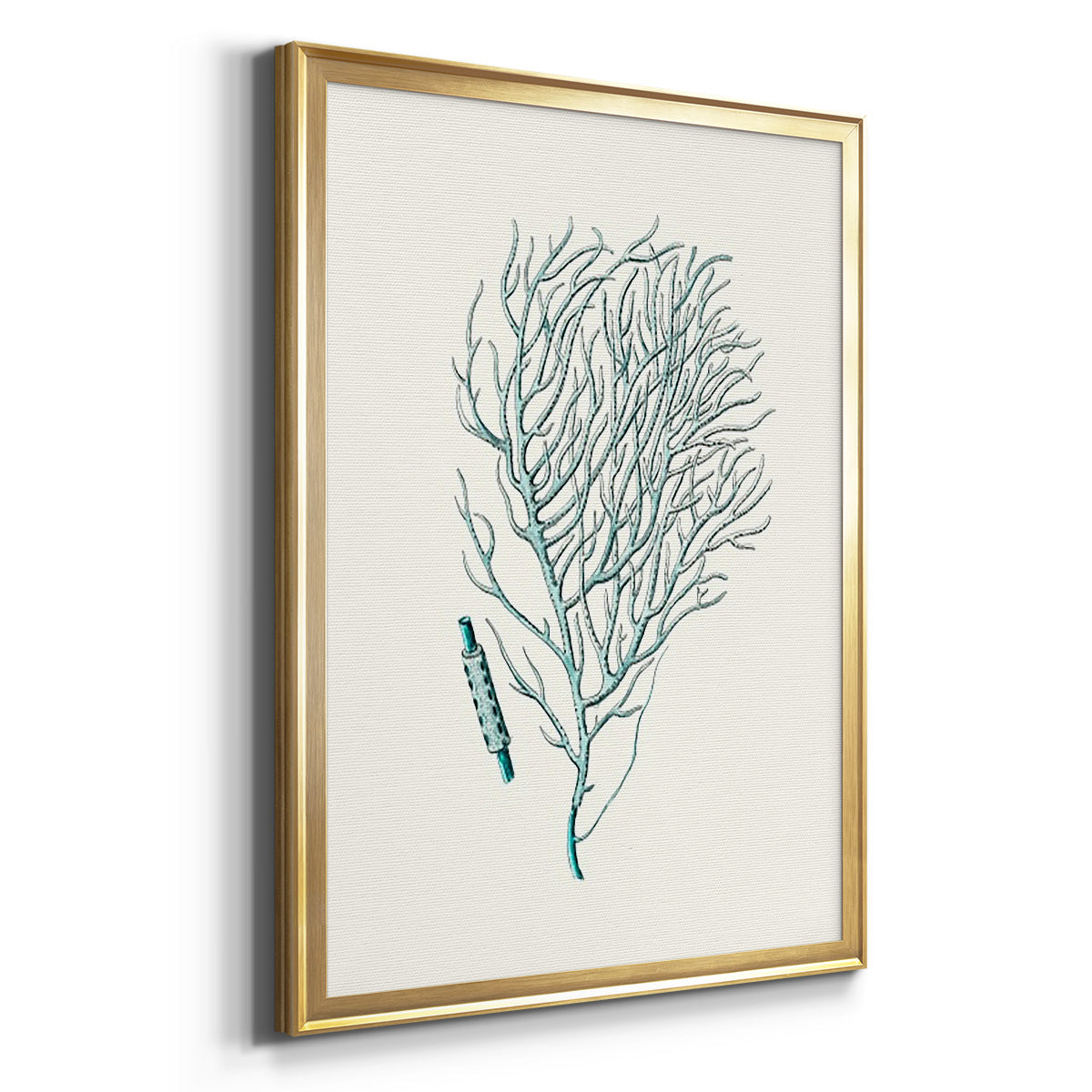 Antique Coastal Coral I - Modern Framed Canvas Print