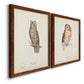 Scops- Eared Owl - Premium Framed Canvas 2 Piece Set - Ready to Hang