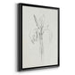 Neutral Iris Sketch II - Modern Framed Canvas Print