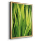 Blades of Grass II - Modern Framed Canvas Print