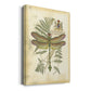 Regal Dragonfly III (PP)  - Canvas Art Print