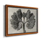 Blossfeldt Botanical VIII Premium Framed Canvas- Ready to Hang