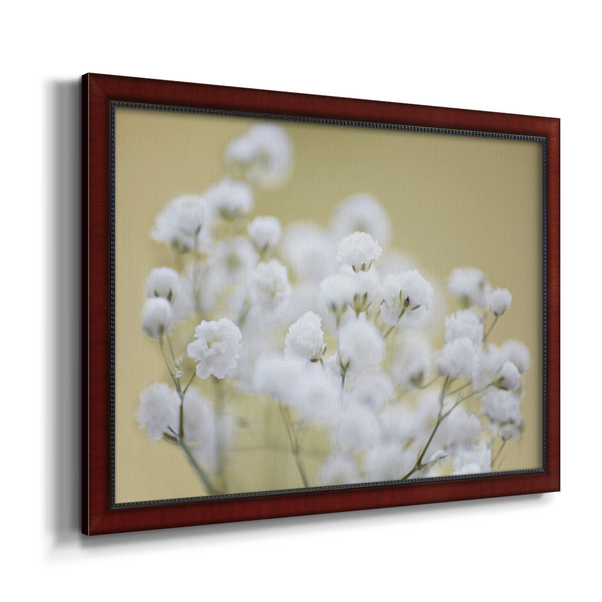 Baby's Breath Study III Premium Framed Canvas- Ready to Hang