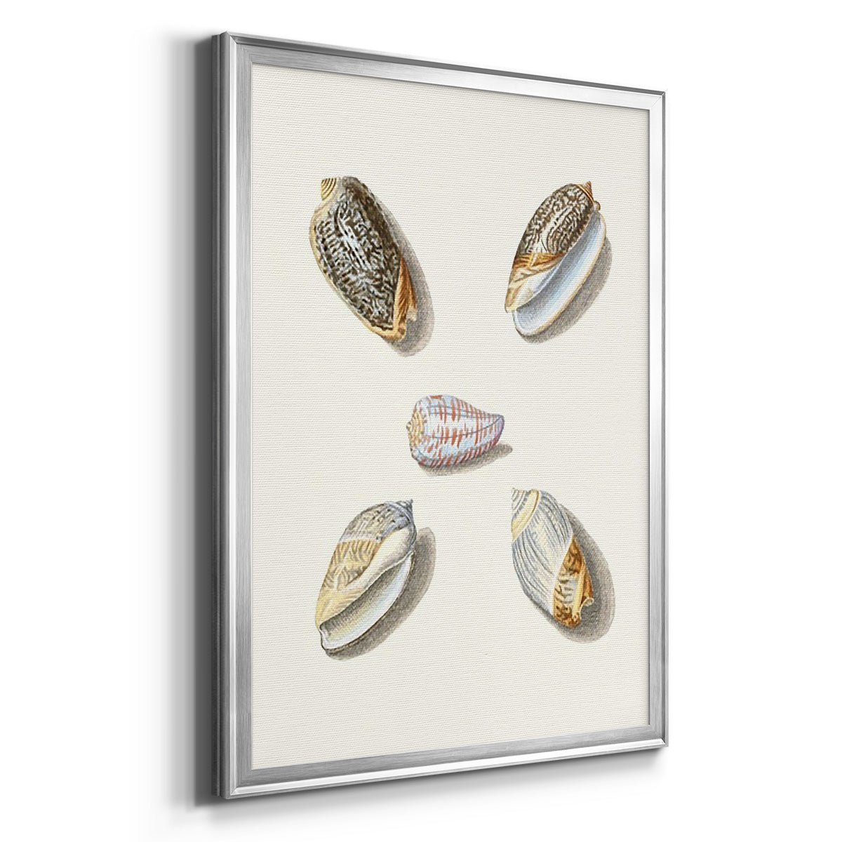 Pastel Knorr Shells III - Modern Framed Canvas Print