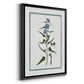 Shabby Chic Botanical I - Modern Framed Canvas Print