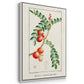Turpin Tropical Botanicals I - Floater Framed Canvas Set