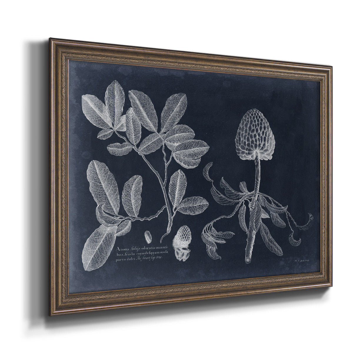 Foliage on Navy II Premium Framed Canvas- Ready to Hang