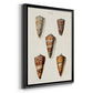 Cone Shell Collection II - Modern Framed Canvas Print