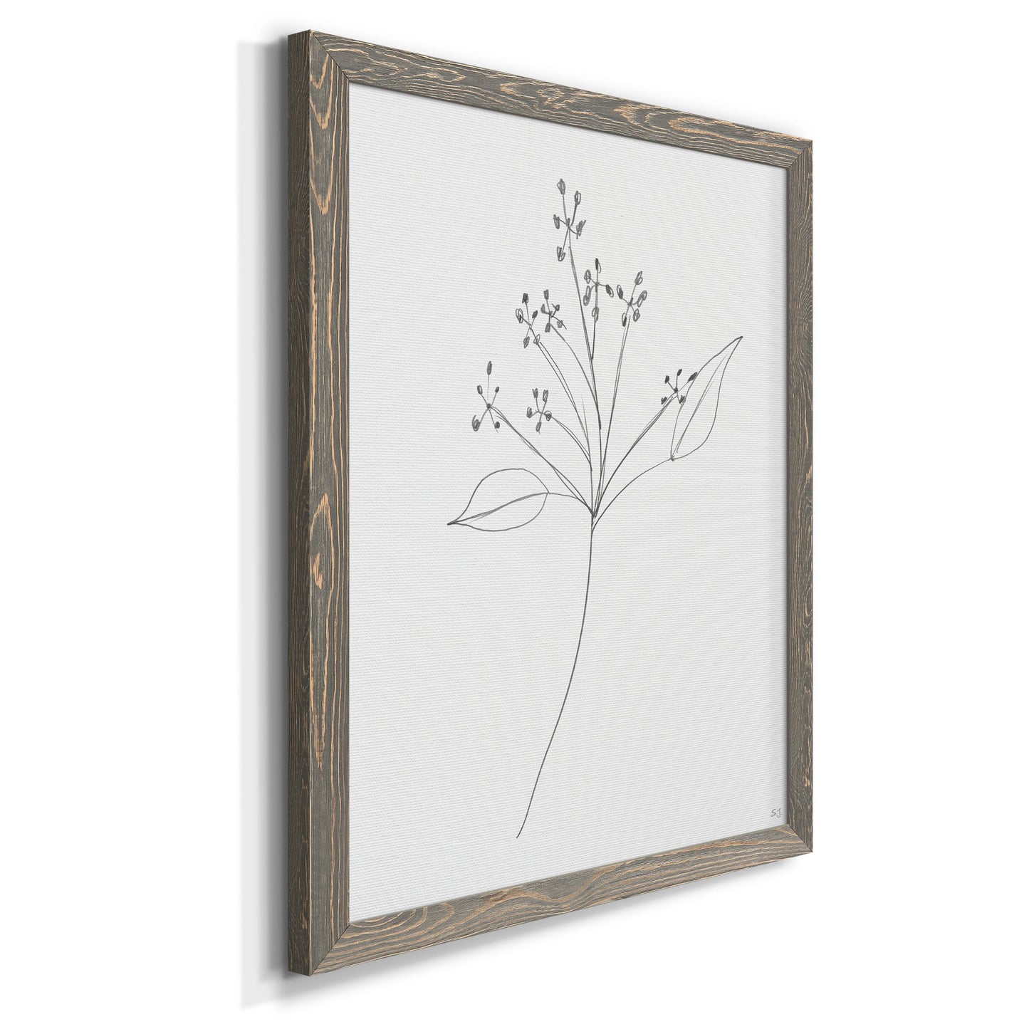 Botanical Gesture V - Barnwood Framed Canvas Print