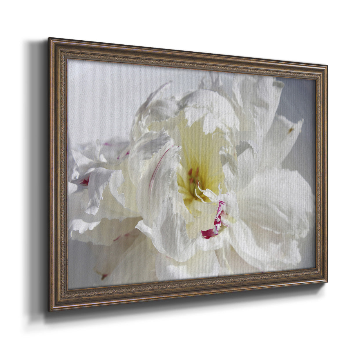 Breathless IV - Ornate Framed Canvas Print