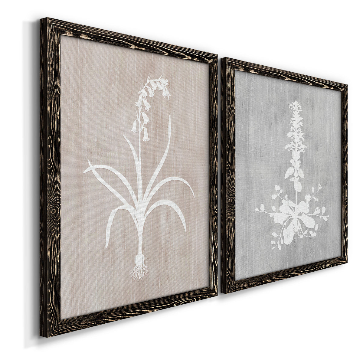 Angled view of a set of two black barnwood framed canvas prints featuring two rustic minimalist botanical prints featuring white botanical silhouettes on softly weathered neutral backgrounds.