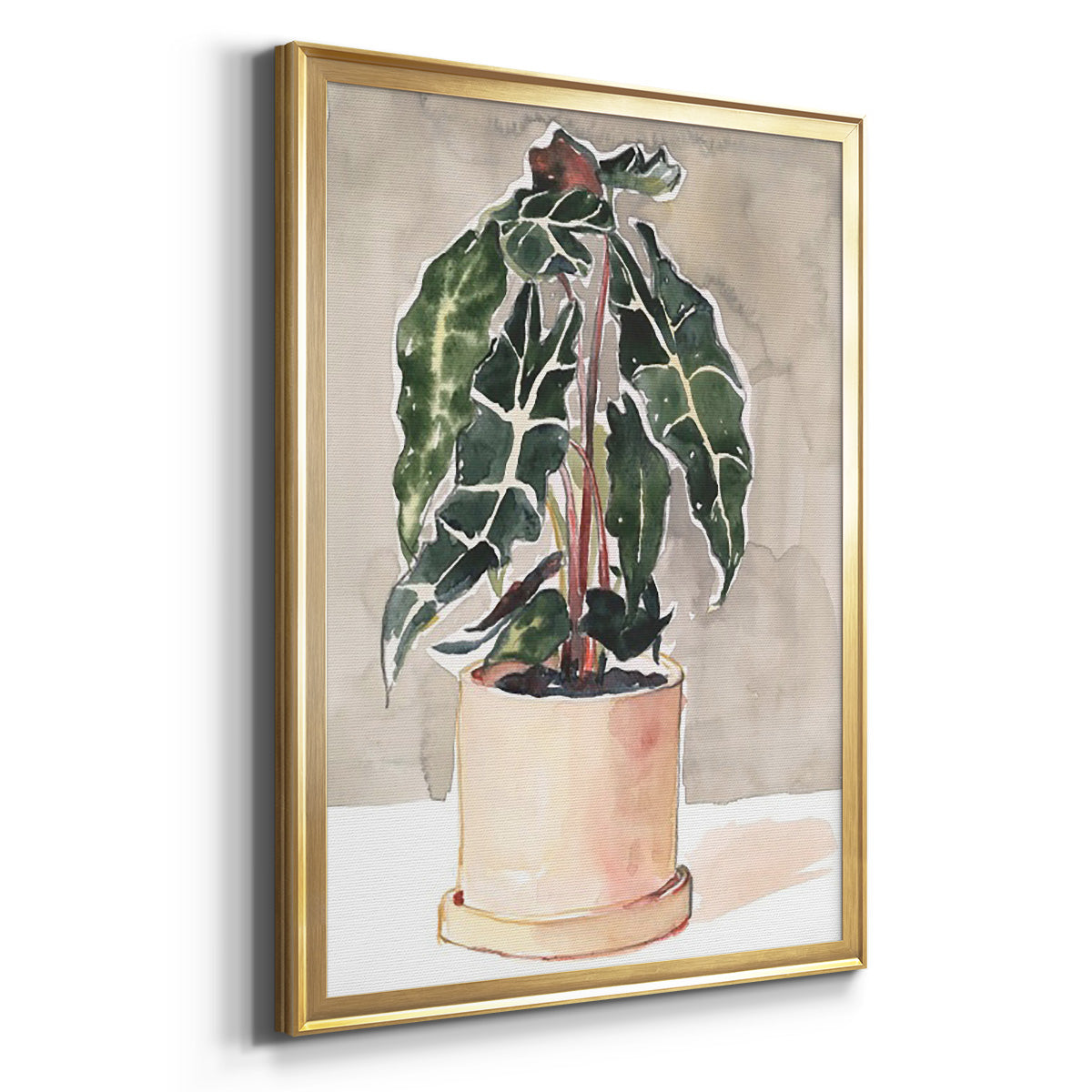 Potted Houseplant I - Modern Framed Canvas Print
