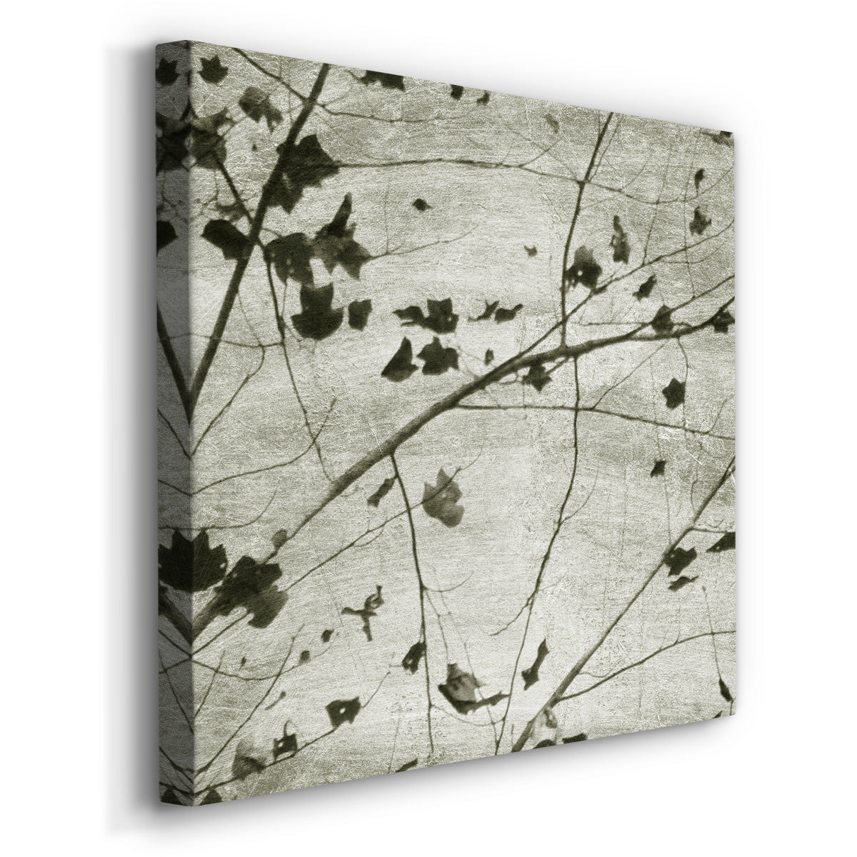 Laced Sky III - Canvas Art Print