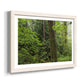 Calm of the Forest - Barnwood Framed Art Print