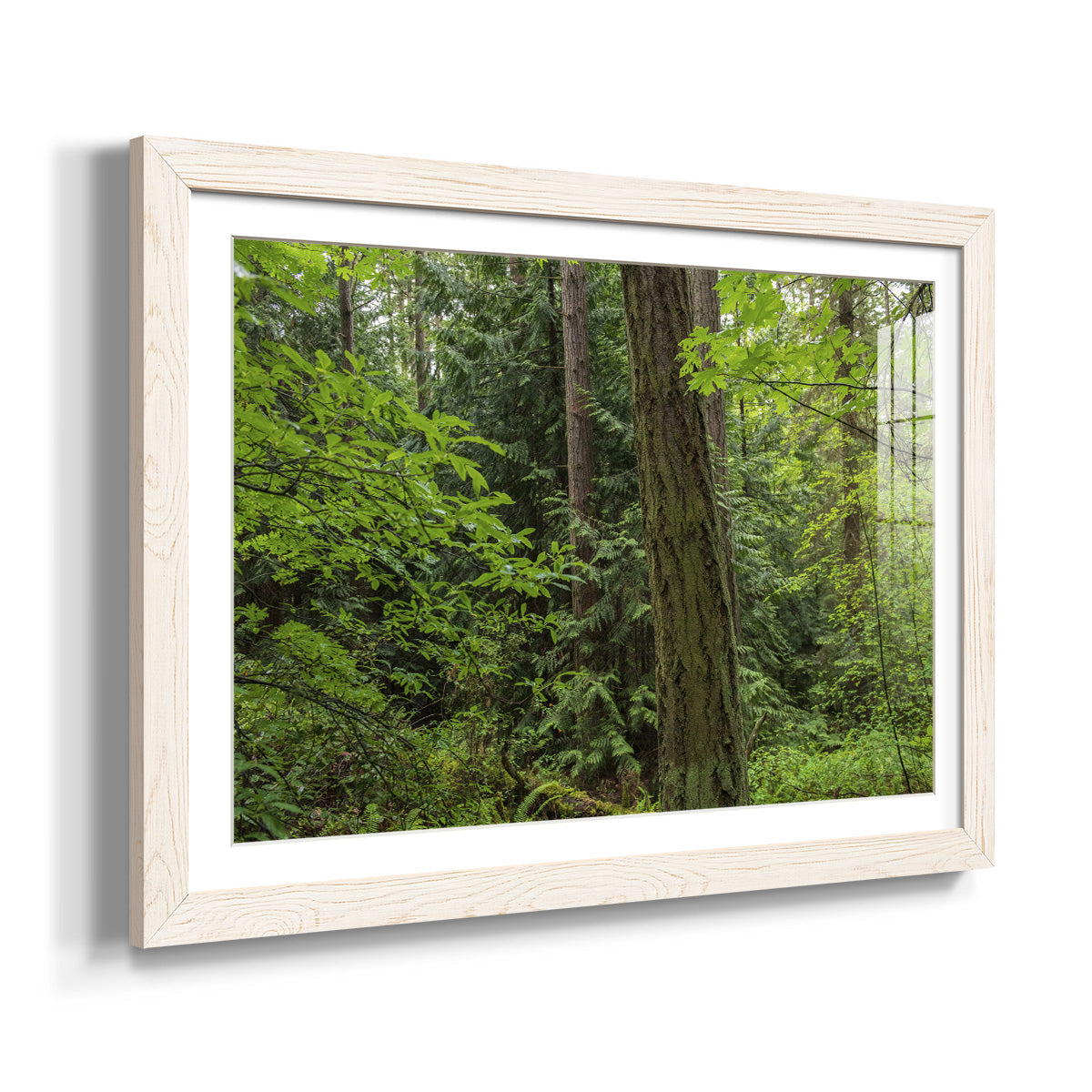 Calm of the Forest - Barnwood Framed Art Print