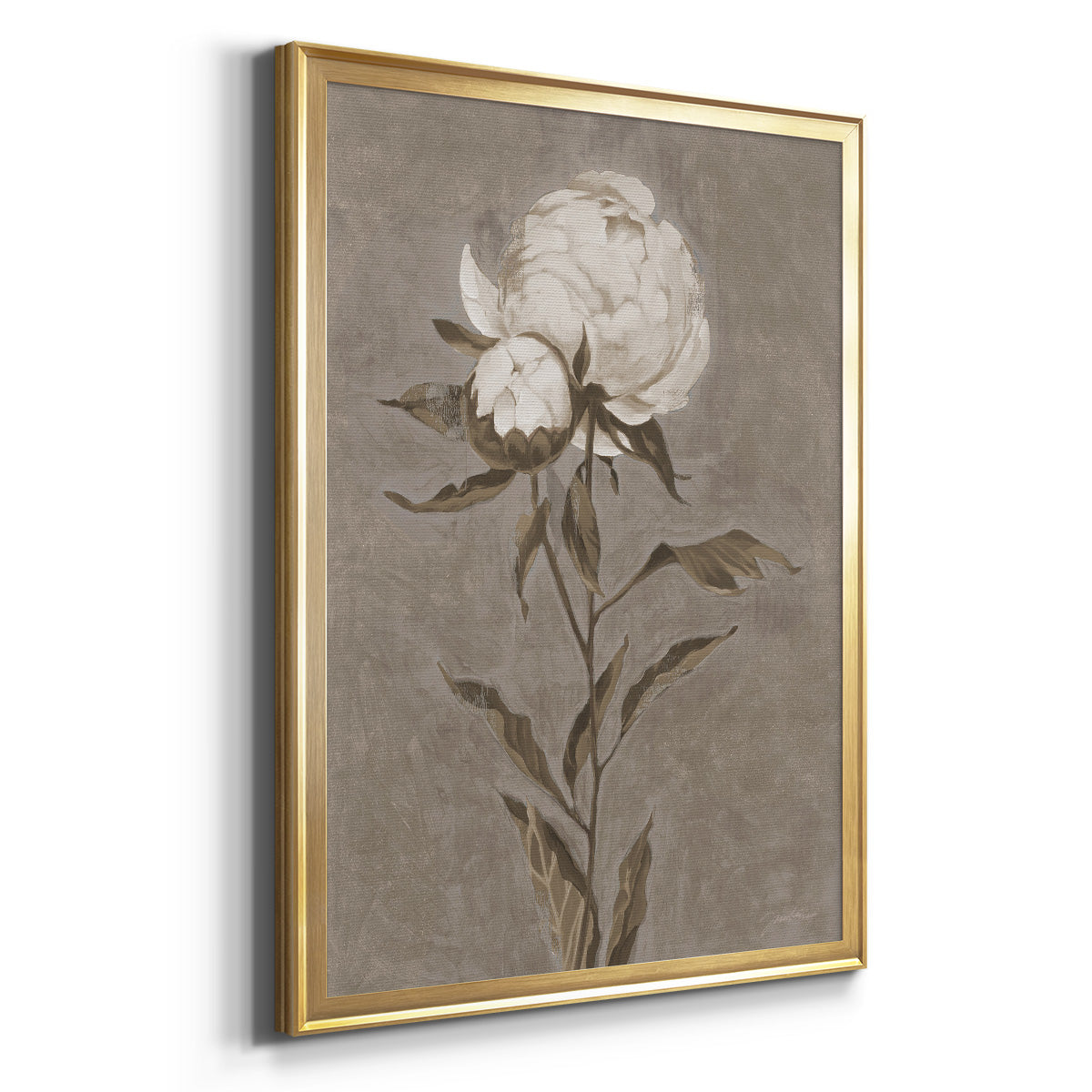 Pretty As A Peony II - Modern Framed Canvas Print
