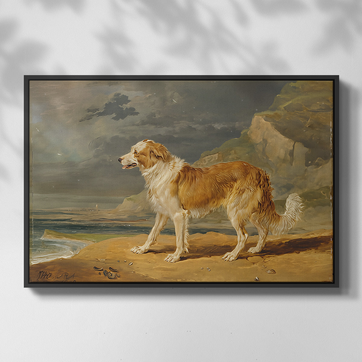 Rough-Coated Collie, 1809 - Floater Framed Canvas Print