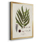 Botanical Society Ferns II - Modern Framed Canvas Print