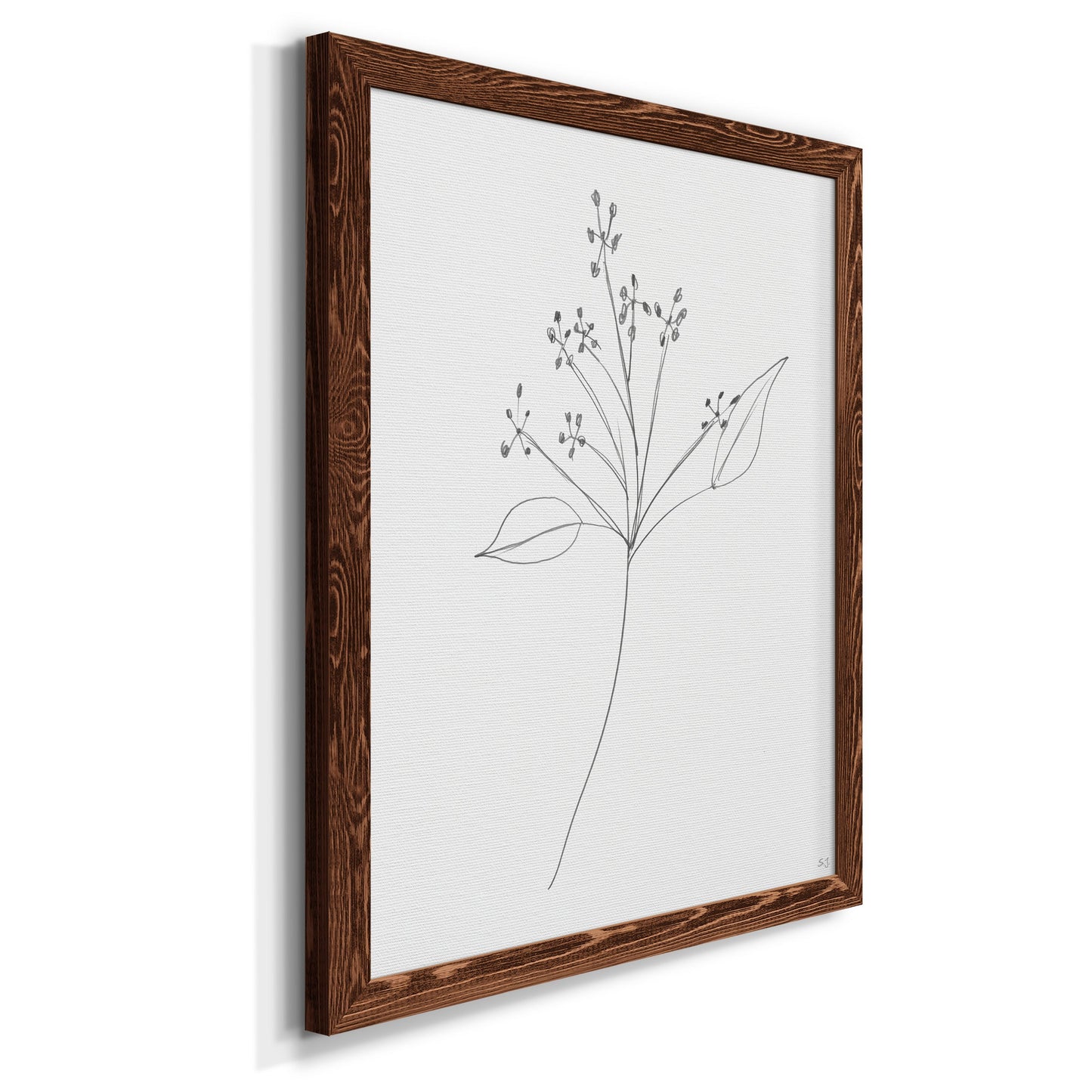 Botanical Gesture V - Premium Canvas Framed in Barnwood - Ready to Hang