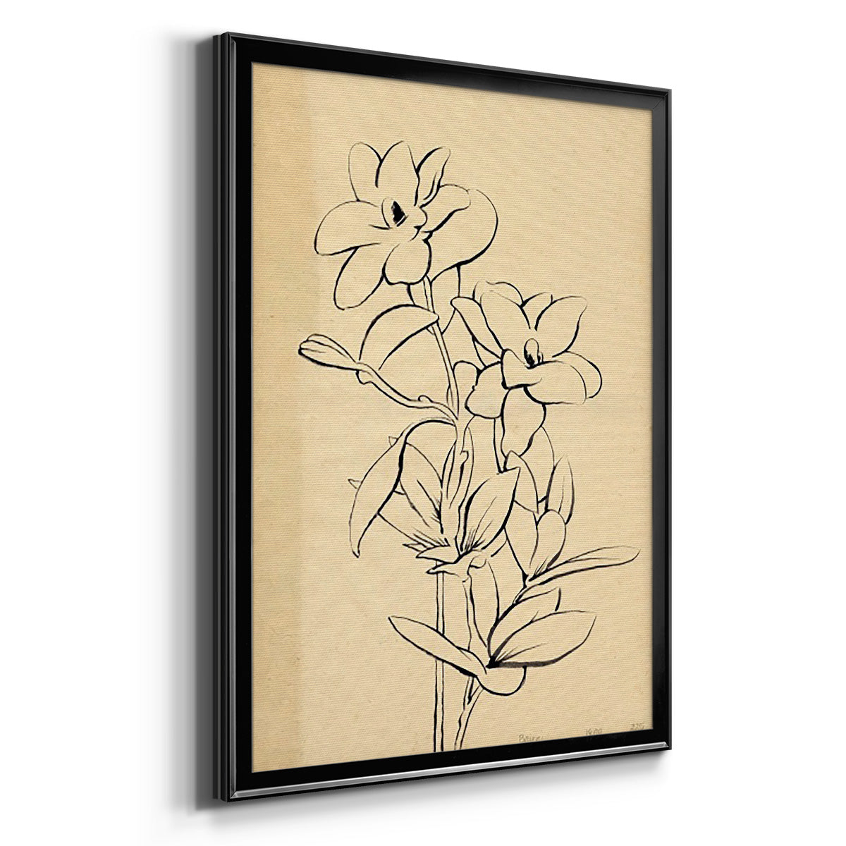 Magnolia Sketch I - Modern Framed Canvas Print