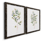 Eucalyptus I   - Premium Framed Canvas 2 Piece Set - Ready to Hang