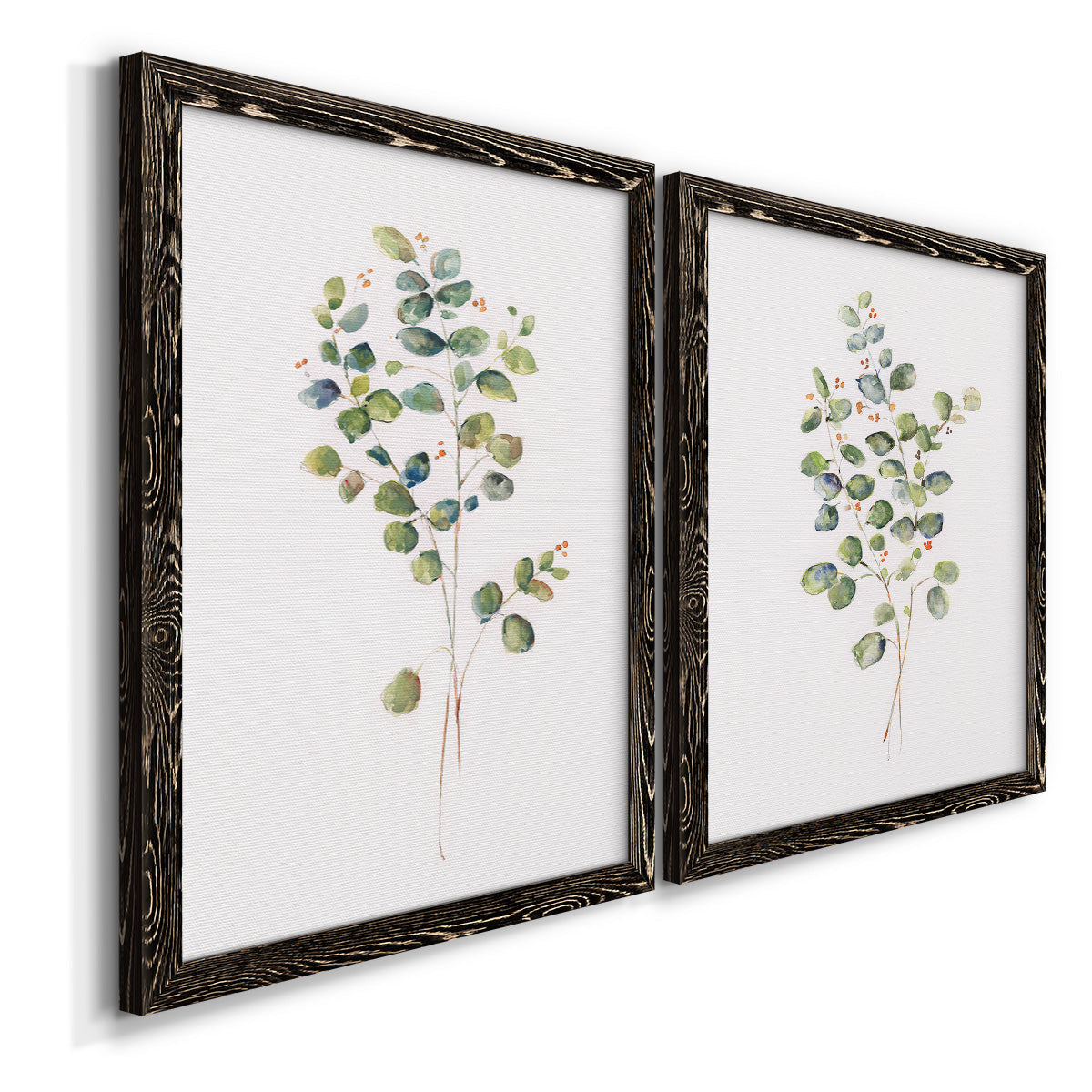 Eucalyptus I   - Premium Framed Canvas 2 Piece Set - Ready to Hang