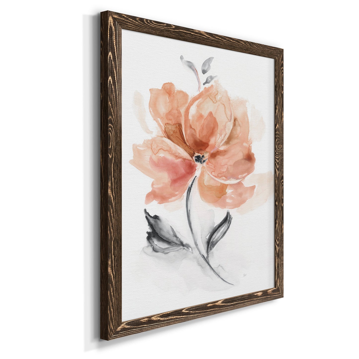 Soft Sensation I - Premium Canvas Framed in Barnwood - Ready to Hang