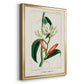 Turpin Tropical Botanicals IX - Modern Framed Canvas Print