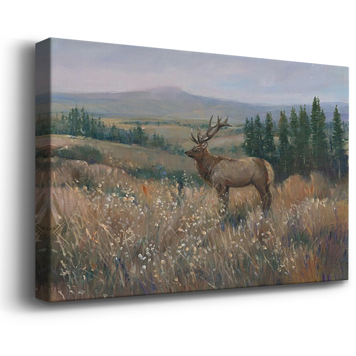 Western Wildlife II Premium Gallery Wrapped Canvas - Ready to Hang