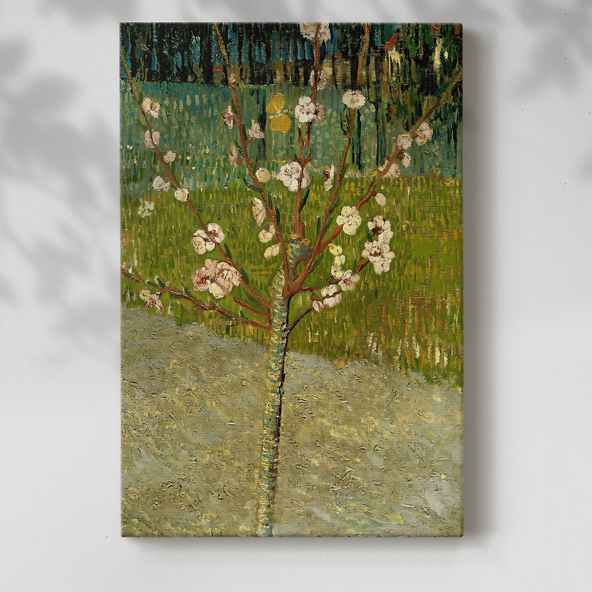 Canvas art print of a vibrant nature composition with delicate blossoms and bold color with a soft shadow on a white background.